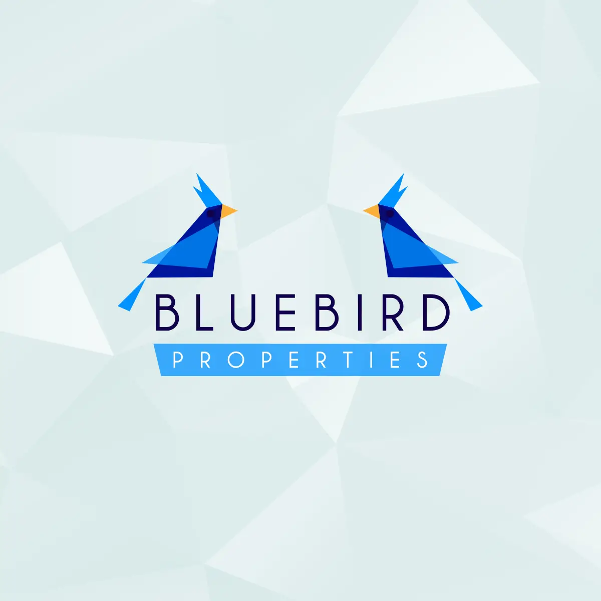 A logo design of a real estate agency